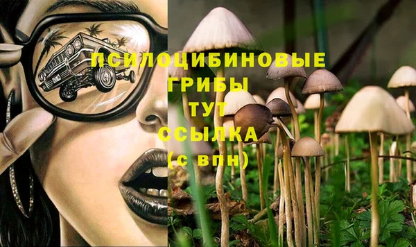 герыч Белокуриха