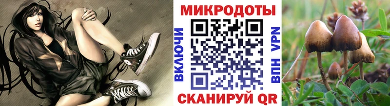 Галлюциногенные грибы GOLDEN TEACHER  Барнаул 