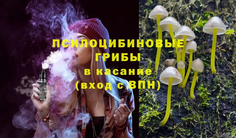 Галлюциногенные грибы Psilocybe  МЕГА сайт  Барнаул 