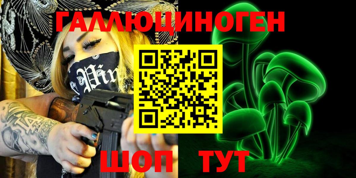 Галлюциногенные грибы Psilocybe Барнаул
