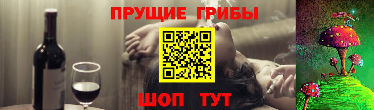 Псилоцибиновые грибы ЛСД  Барнаул  Галлюциногенные грибы Psilocybe 